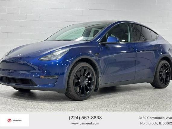 TESLA MODEL Y 2021 5YJYGDEE5MF246074 image